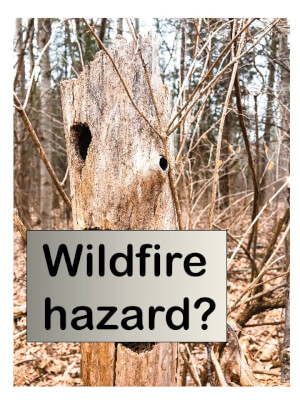 Wildfire hazard
