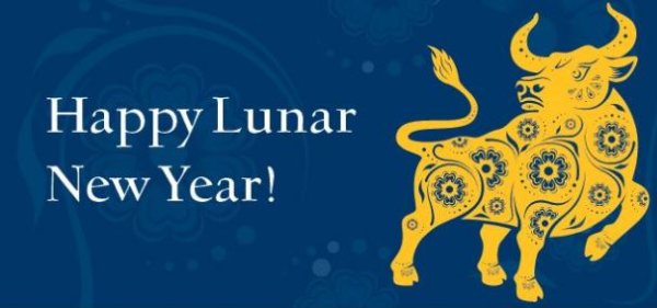 Happy Lunar New Year Year of the Ox